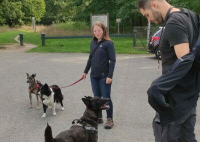 Armand Wiedenberg en cours d'éducation canine à Chantilly