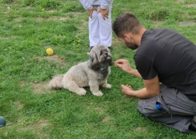 Armand Wiedenberg en cours avec un Lhassa Apso