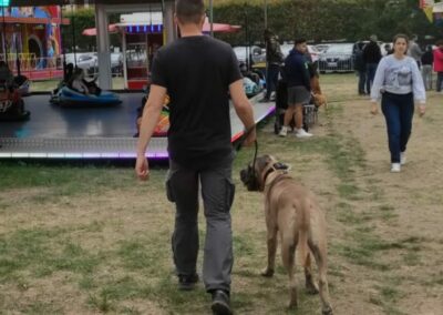 Armand Wiedenberg et un Cane Corso à la fête foraine de Chantilly